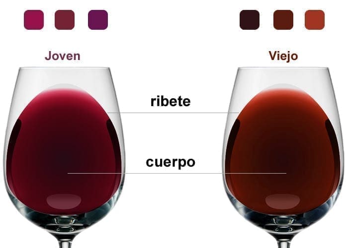 color_del_vino - Regio Asador